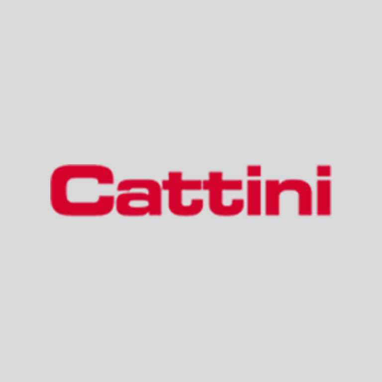 Cattini